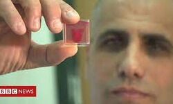 Scientists unveil 3D-printed heart - BBC News Scientists unveil 3D-printed heart - BBC News