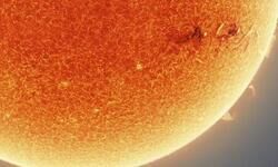 testing for reporter